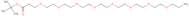 Amino-dPEG&reg; t-Butyl Ester
