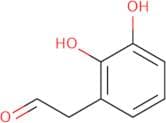 2-(2,3-Dihydroxyphenyl)acetaldehyde