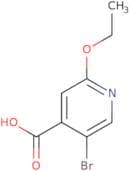 5-Bromo-2-ethoxyisonicotinic acid