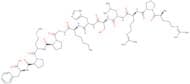 Apelin-12 (human, bovine, mouse, rat)