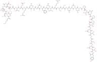 Amylin (mouse, rat) trifluoroacetate salt