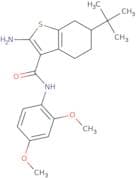 2-Amino-N-(2,4-dimethoxyphenyl)-tert-butyl-4,5,6,7-tetrahydro-1-benzothiophene-3-carboxamide