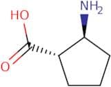 (1S,2S)-2-Amino-cyclopetanecarboxylicacid