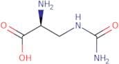 L-Albizziin