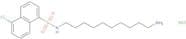 N-(10-Aminodecyl)-5-chloro-1-naphthalenesulfonamide hydrochloride