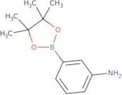 3-Aminophenylboronic acid pinacol ester