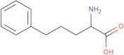 D-2-Amino-5-phenylpentanoic acid