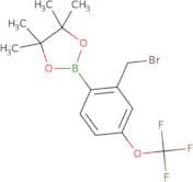 2-[2-(Bromomethyl)-4-(trifluoromethoxy)phenyl]-4,4,5,5-tetramethyl-1,3,2-dioxaborolane