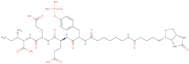 Biotinyl-epsilon-aminocaproyl-Tyr(PO3H2)-Glu-Glu-Ile-OH