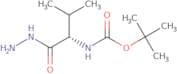 tert-Butyl [(1S)-1-(hydrazinocarbonyl)-2-methylpropyl]carbamate