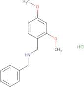 N-Benzyl-1-(2,4-dimethoxyphenyl)methanamine hydrochloride