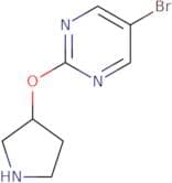 5-Bromo-2-(pyrrolidin-3-yloxy)pyrimidine