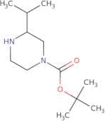 1-Boc-3-isopropyl-piperazine