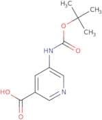 5-((tert-Butoxycarbonyl)amino)nicotinic acid