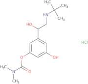 Bambuterol monocarbamate