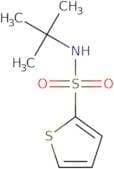 N-tert-Butyl-2-thiophenesulfonamide