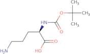 N-α-Boc-D-ornithine