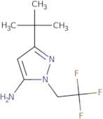 3-Tert-Butyl-1-(2,2,2-Trifluoroethyl)-1H-Pyrazol-5-Amine