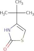 4-(tert-butyl)-1,3-thiazol-2(3h)-one