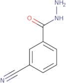 3-Cyanobenzohydrazide