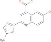 6-Chloro-2-(5-methyl-2-furyl)quinoline-4-carbonyl chloride