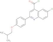 6-Chloro-2-(4-isobutoxyphenyl)quinoline-4-carbonyl chloride