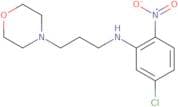 (5-Chloro-2-nitrophenyl)(3-morpholin-4-ylpropyl)amine