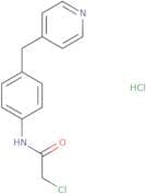 2-Chloro-N-[4-(pyridin-4-ylmethyl)phenyl]acetamide hydrochloride