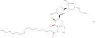 Clindamycin palmitate hydrochloride