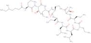 Colistin