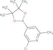 2-Chloro-6-methylpyridine-4-boronic acid, pinacol ester