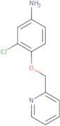 3-Chloro-4-[(pyridin-2-yl)methyloxy]aniline