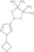 1-Cyclobutyl-4-(4,4,5,5-tetramethyl-1,3,2-dioxaborolan-2-yl)-1H-pyrazole
