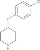 4-(4-Chloro-phenoxy)-piperidine