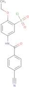 5-(4-Cyanobenzoylamino)-2-ethoxy-benzenesulfonyl chloride