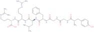 Dynorphin A (1-7)