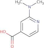 2-(Dimethylamino)isonicotinic acid