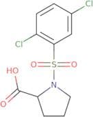 1-[(2,5-Dichlorophenyl)sulfonyl]proline