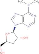 3’-Deoxy-N6,N6-dimethyladenosine