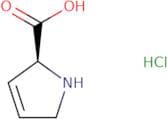 (S)-2,5-Dihydro-1H-pyrrole-2-carboxylic acid hydrochloride