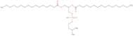 1,2-Dipalmitoyl-sn-glycero-3-phospho-N,N-dimethylethanolamine