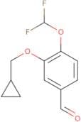 4-(DIFLUOROMETHOXY)-3-(CYCLOPROPYLMETHOXY)-BENZALDEHYDE