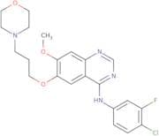3-Deschloro-4-desfluoro-4-chloro-3-fluoro Gefitinib