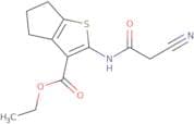 Ethyl 2-[(cyanoacetyl)amino]-5,6-dihydro-4H-cyclopenta[b]thiophene-3-carboxylate