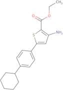 Ethyl 3-amino-5-(4-cyclohexylphenyl)thiophene-2-carboxylate