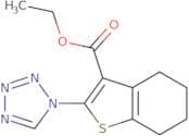 Ethyl 2-(1H-tetrazol-1-yl)-4,5,6,7-tetrahydro-1-benzothiophene-3-carboxylate