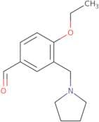 4-Ethoxy-3-(pyrrolidin-1-ylmethyl)benzaldehyde