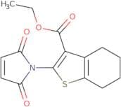 Ethyl 2-(2,5-dioxo-2,5-dihydro-1H-pyrrol-1-yl)-4,5,6,7-tetrahydro-1-benzothiophene-3-carboxylate