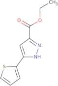Ethyl 5-thien-2-yl-1H-pyrazole-3-carboxylate