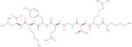 FGF basic (119-126) (human, mouse, rabbit, rat)